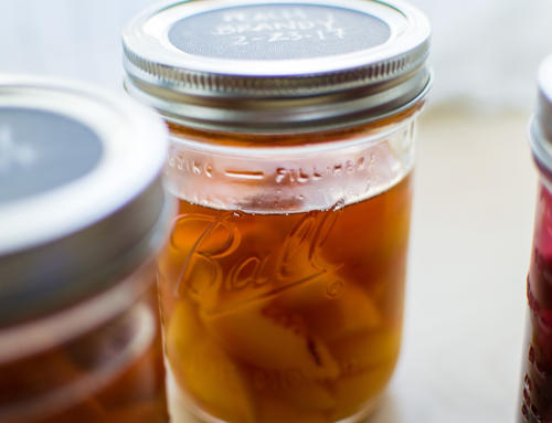 preserving and fermenting
