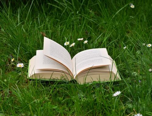 Best gardening resources for beginners : Books
